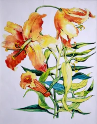Lirios naranjas 1, 1985